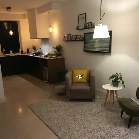 Townhouse In City Centre With Terace *