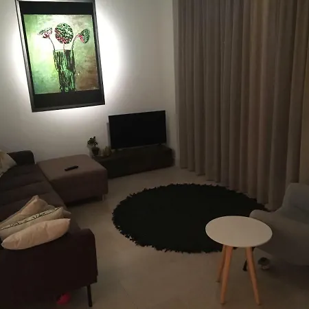 Townhouse In City Centre With Terace Leiden
